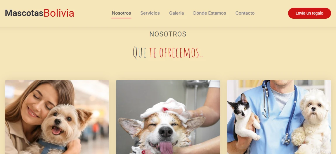 Services